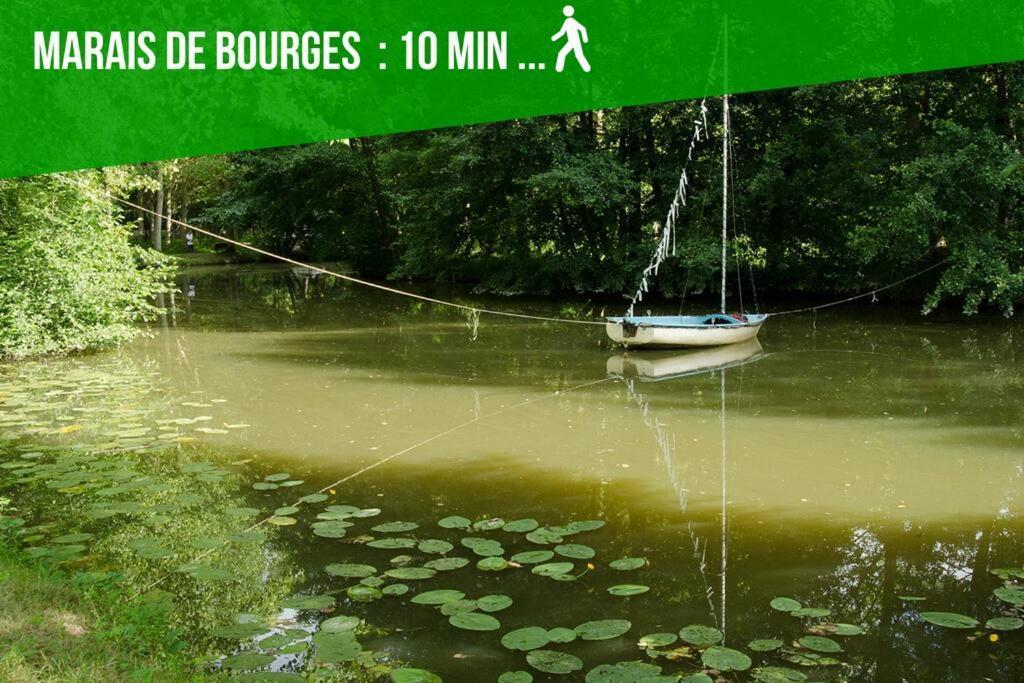 Les Quatre Piliers - 1 Min Palais Jacques Coeur Apartment Bourges Luaran gambar